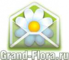 Логотип компании Доставка цветов Гранд Флора (ф-л г.Арзамас)